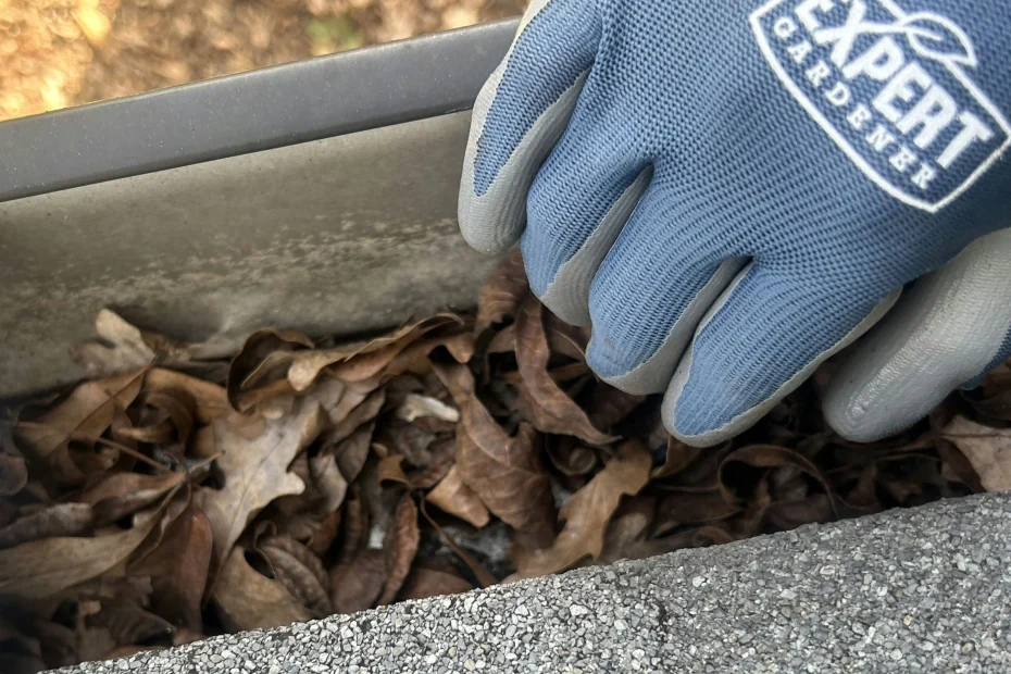 Gutter Cleaning Bonner Springs, KS