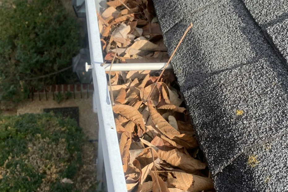 Gutter Cleaning Bonner Springs, KS